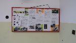 2.pololetí 8.C 2016/17