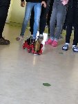 beseda 4.C 2021/22