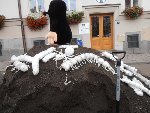 Co je v půdě? 3.A 2016/17