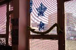 Den Jižní Ameriky 3.D 2009/10