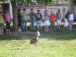 Dravci 3.D 2010/11