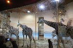 Exkurze ZOO Praha 5.A 2016/17