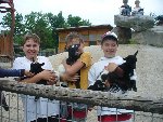 Hluboká výlet zámek,zámeček,zoo 5.A 2010/11