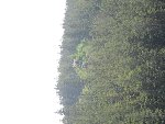 Kašperk - 3. třída 4.B 2018/19