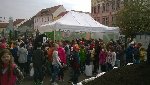 Kompostobraní 5.D 2016/17