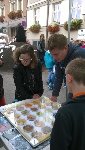 Kompostobraní 5.D 2016/17