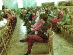 Koncert 5.B 2012/13