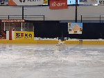 Krasobruslení 2018 2.A 2017/18