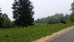 Lengnau Švýcarsko 2015/16