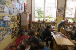 Pařezníci 5.A 2016/17