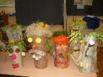 Pařezníci - práce s přírodninou 5.C 2011/12