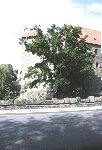 Podskalí 9.A 2013/14