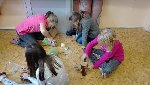 Podzim 5.D 2017/18