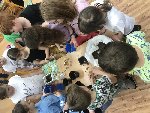 před Velikonocemi setí sázení 3.B 2021/22