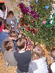 Předvánoční posezení u stromečku 2.B 2010/11