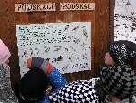 Procházka na Podskalí 2.B 2010/11