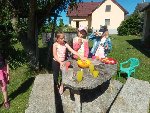 Projektový den - léto 2.C 2021/22