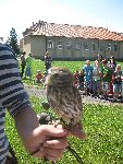Ptáci 4.A 2010/11