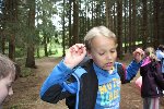 školní výlet Zálesí 2016 5.D 2015/16