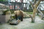 Školní výlet ZOO Hluboká Ohrada 1.A 2011/12