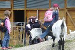 Školní výlet ZOO Hluboká Ohrada 1.A 2011/12