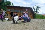 Školní výlet ZOO Hluboká Ohrada 1.A 2011/12