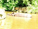 Školní výlet - ZOO Plzeň 1.A 2012/13