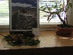 Ve třídě2 4.D 2011/12