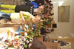 Velikonoce 2016/17