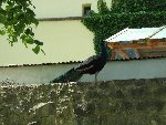 Výlet Blatná 2012 2.B 2011/12
