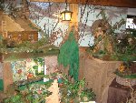 výlet Sušicko 2.D 2011/12