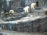 výlet ZOO 3.D 2012/13
