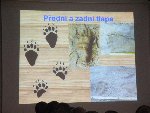Výlet ZOO Ohrada 1.B 2015/16