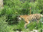 Výlet ZOO Ohrada 1.B 2015/16