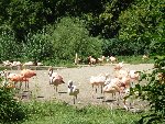 Výlet ZOO Praha 3.A 2016/17
