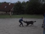 Zálesí 5.D 2016/17
