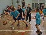 ŽL v minibasketbalu 2014/15