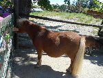 ZOO - Hluboká nad Vltavou 1.C 2015/16
