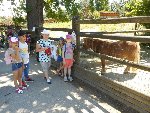 ZOO - Hluboká nad Vltavou 1.C 2015/16