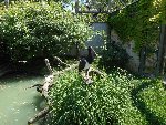 ZOO - Hluboká nad Vltavou 1.C 2015/16