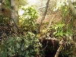ZOO - Hluboká nad Vltavou 1.C 2015/16