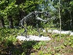 ZOO - Hluboká nad Vltavou 1.C 2015/16