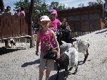 ZOO - Hluboká nad Vltavou 1.C 2015/16