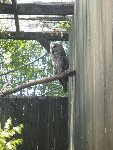 ZOO - Hluboká nad Vltavou 1.C 2015/16