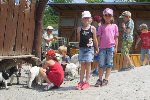 ZOO Hluboká - školní výlet 1.A 2017/18