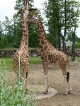 ZOO PLZEŇ 2.D 2015/16