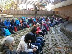 ZOO Praha  5.B 2016/17