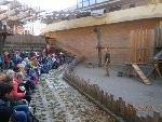 ZOO Praha  5.B 2016/17