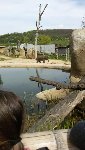 ZOO Praha 5.C 2016/17