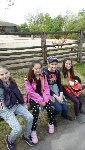 ZOO Praha 5.C 2016/17